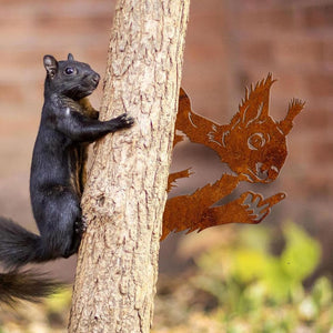 Peeping middle finger squirrel metal sign, squirrel garden metal, outdoor metal art