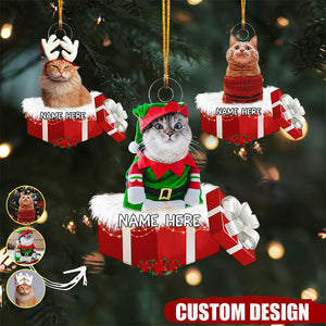 Personalized Animal And Human In Gift Box Christmas Ornament