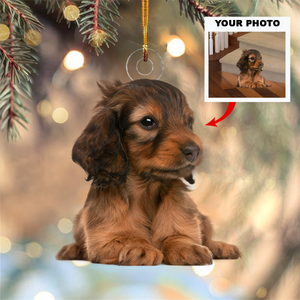 Personalized Upload Photo Pet Christmas Ornament