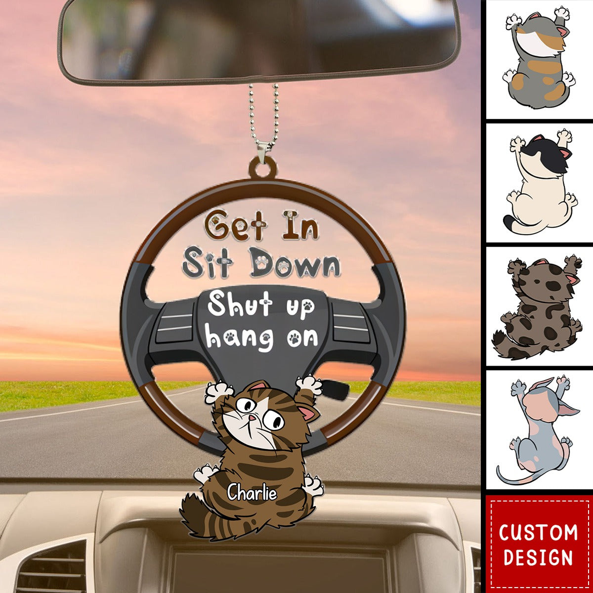 Personalized Get In Funny Car Acrylic Hanging Ornament-Gift For Cat Lovers