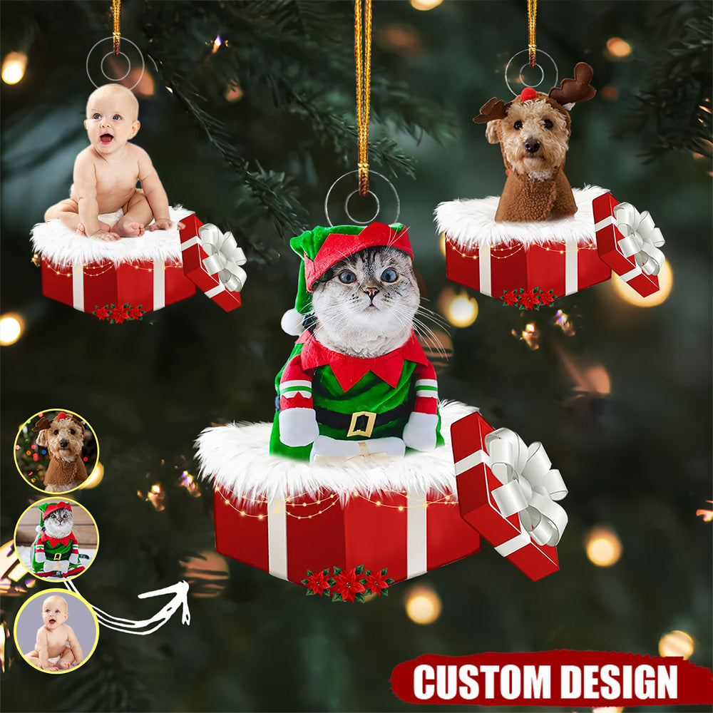 Personalized Animal And Human In Gift Box Christmas Ornament