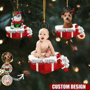 Personalized Animal And Human In Gift Box Christmas Ornament