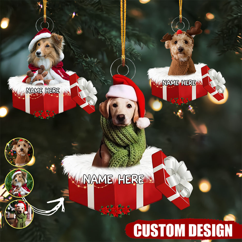 Personalized Animal And Human In Gift Box Christmas Ornament