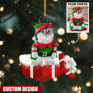 Personalized Animal And Human In Gift Box Christmas Ornament