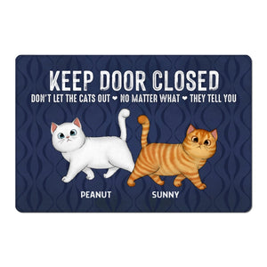 Keep Door Closed Walking Fluffy Cat Personalized Doormat - Gift For Cat Lovers